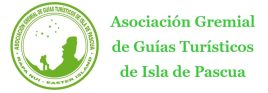 guiasisladepascua.com